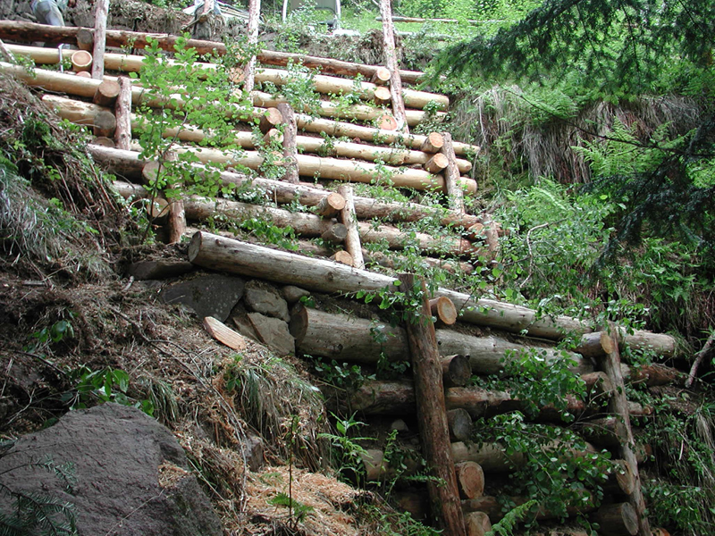 ingegneria naturalistica difesa boschi